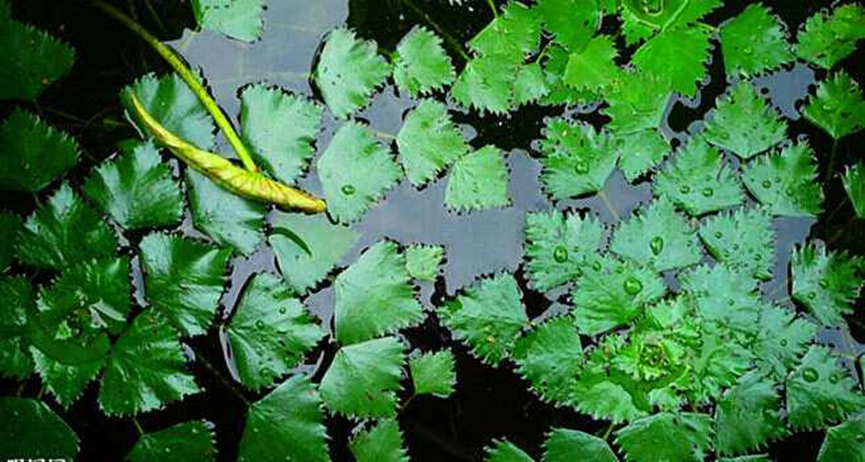 1659598748119944.png 1659598748119944.png