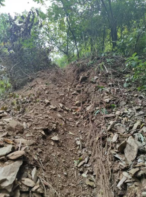 1749795898149362.png image.png