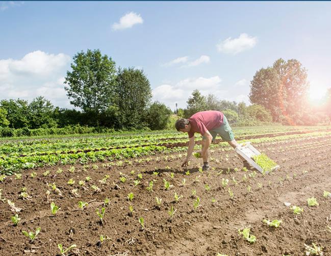 土壤修復找什么公司合作好？