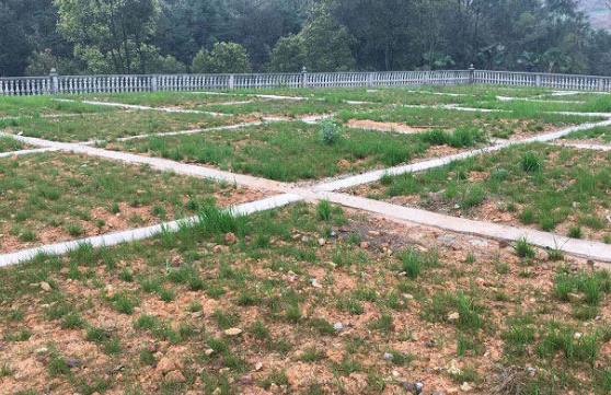 農(nóng)村環(huán)境治理怎么做才更有效? 農(nóng)村環(huán)境治理怎么做才更有效?